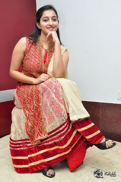 Ardhanaari-Movie-Success-Meet